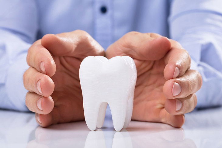Hands cupping white tooth model on desk, representing dental care and protection.